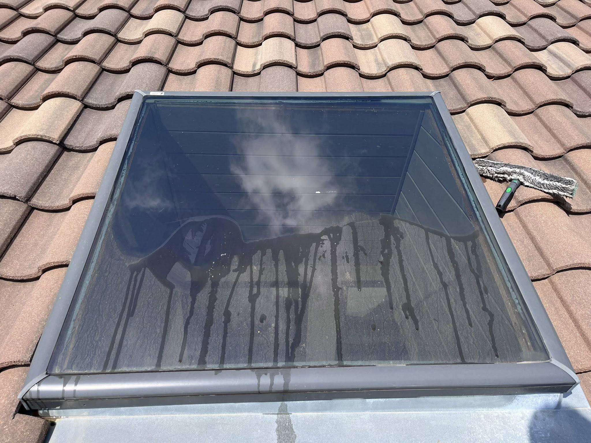 Vivid Exterior Cleaning (19)