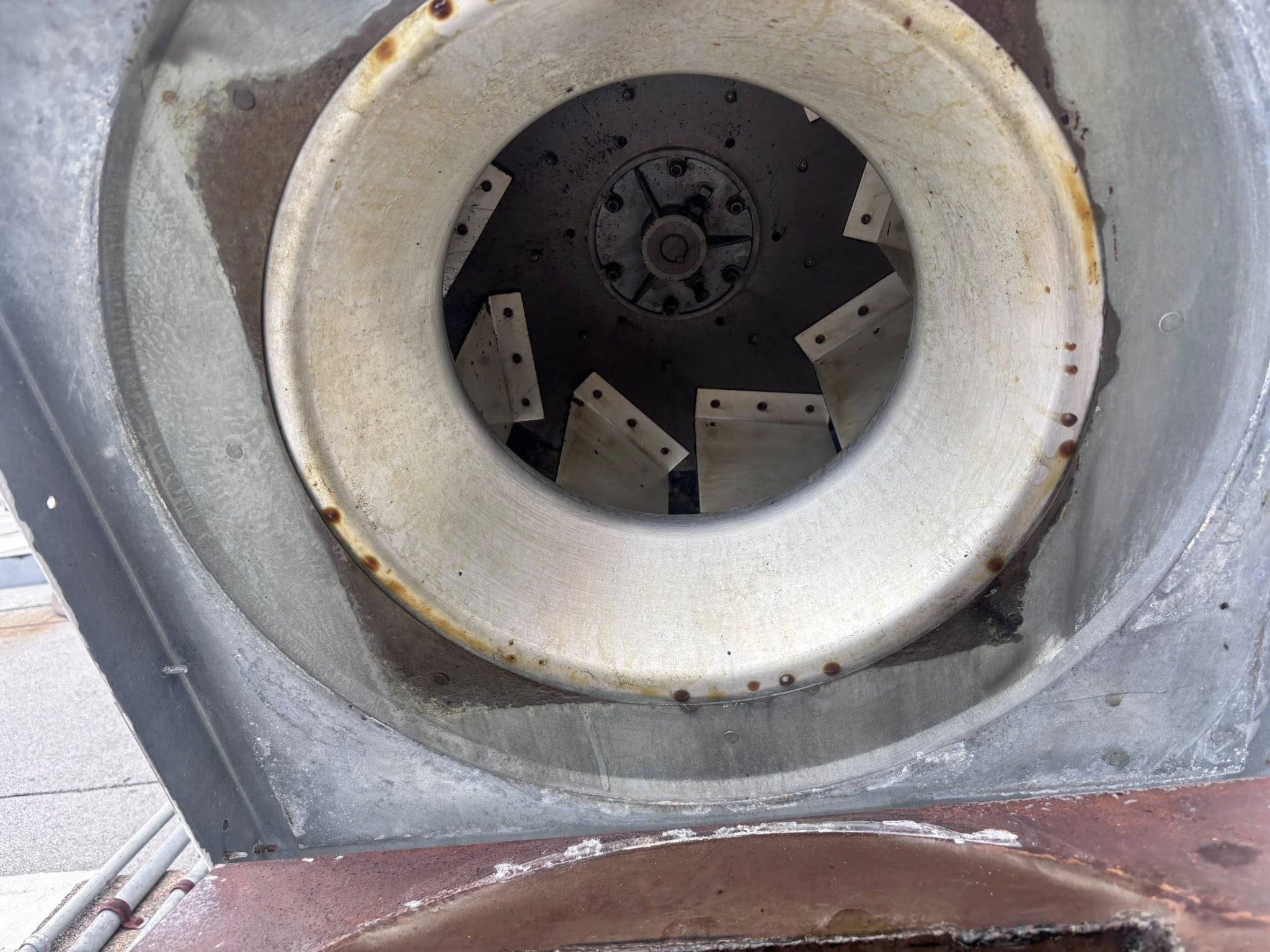 Vivid Exterior Cleaning (5)
